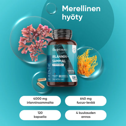 irish-sea-moss-capsules-fi-2