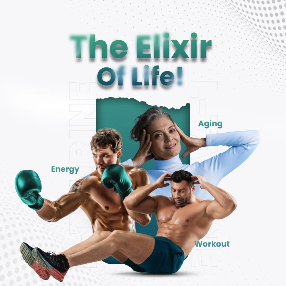 l-taurine-amino-acid-fi-03