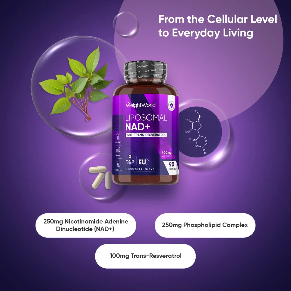 liposomal-nad-with-resveratrol-600mg-fi-2
