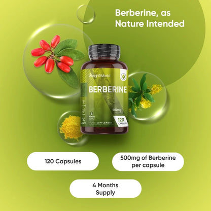 weightworld-fi-berberine-capsules-bottle-02.webp