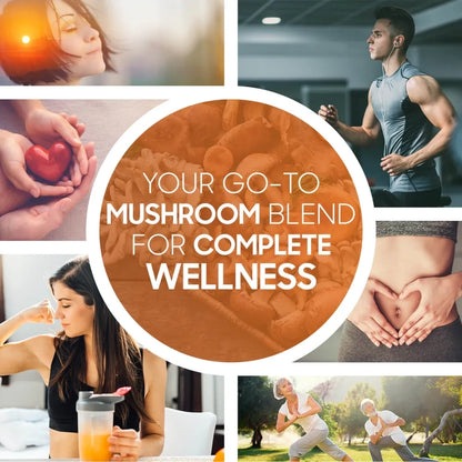 weightworld-fi-organic-mushroom-uk-4